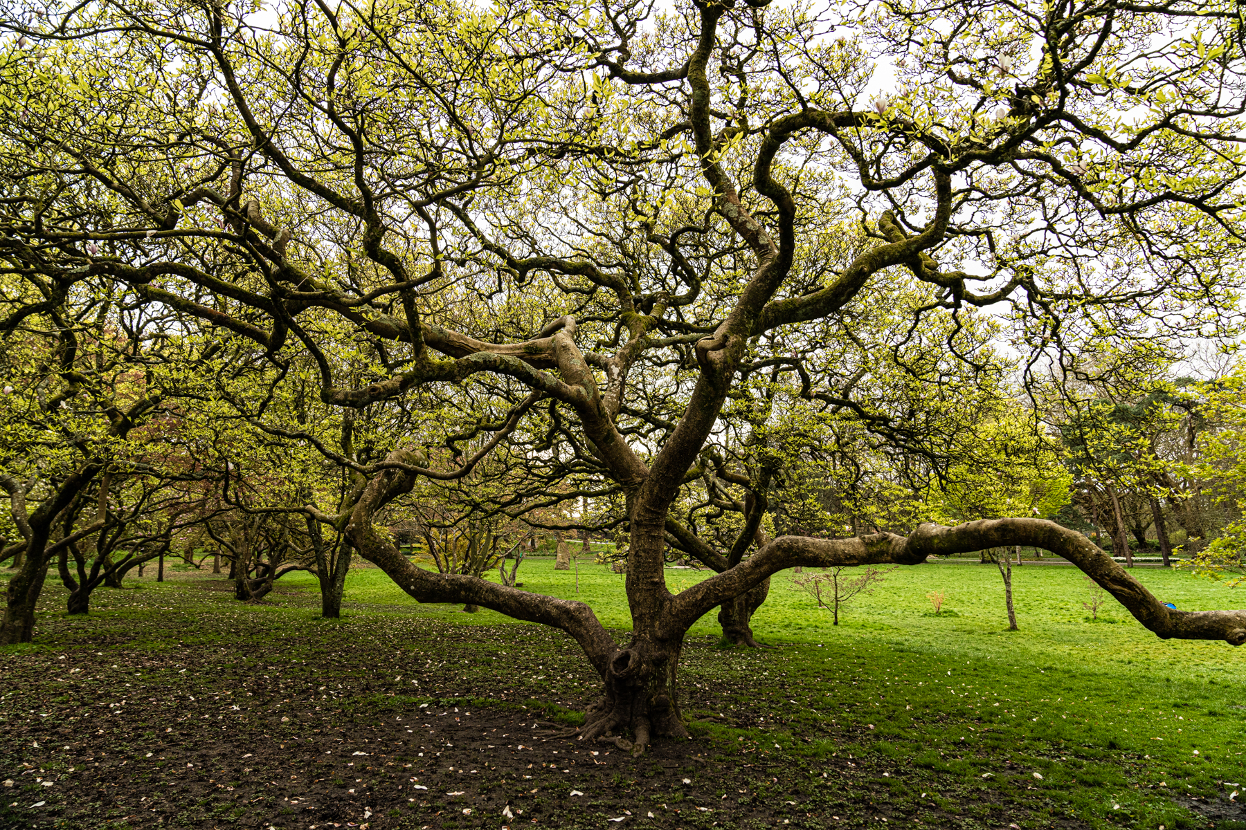 In the gardens outside Cardiff Castle.