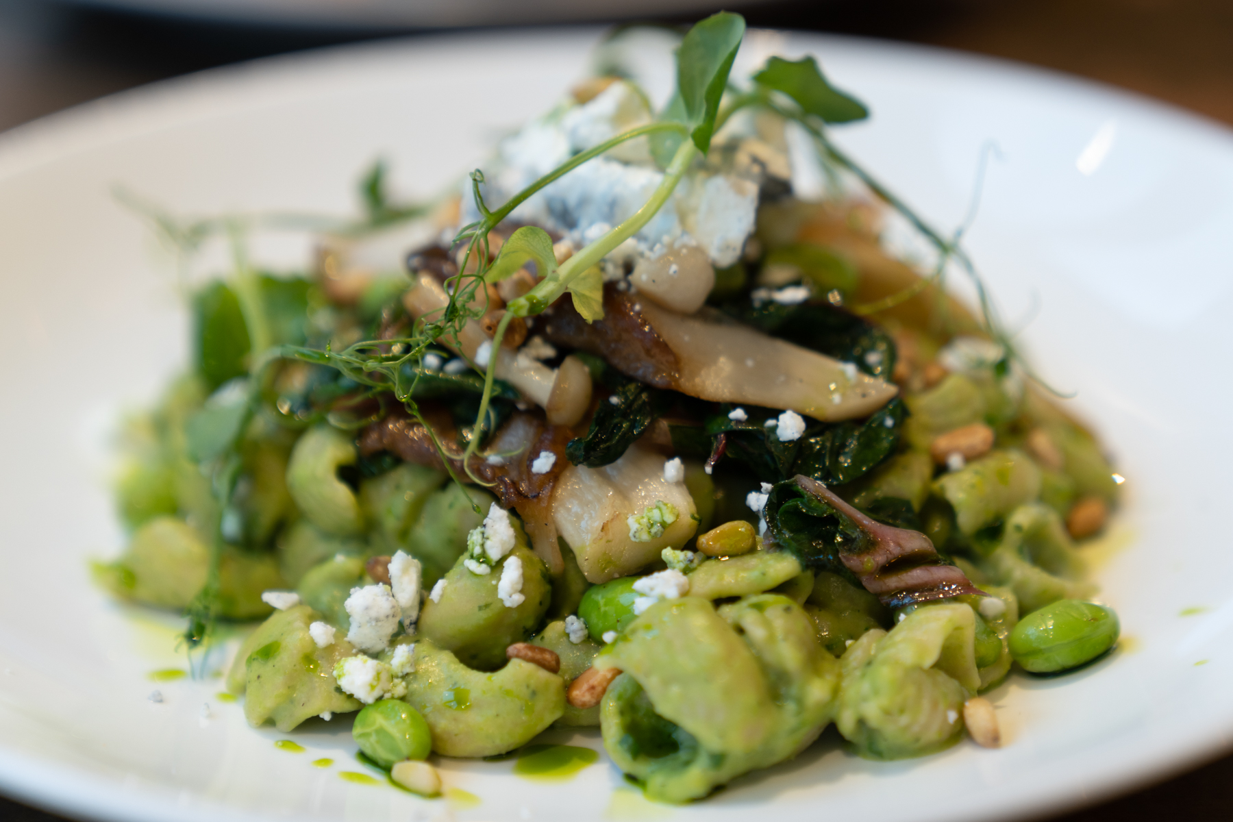 Conchiglie with field mushrooms, rainbow chard, pine nuts, and goat's cheese.