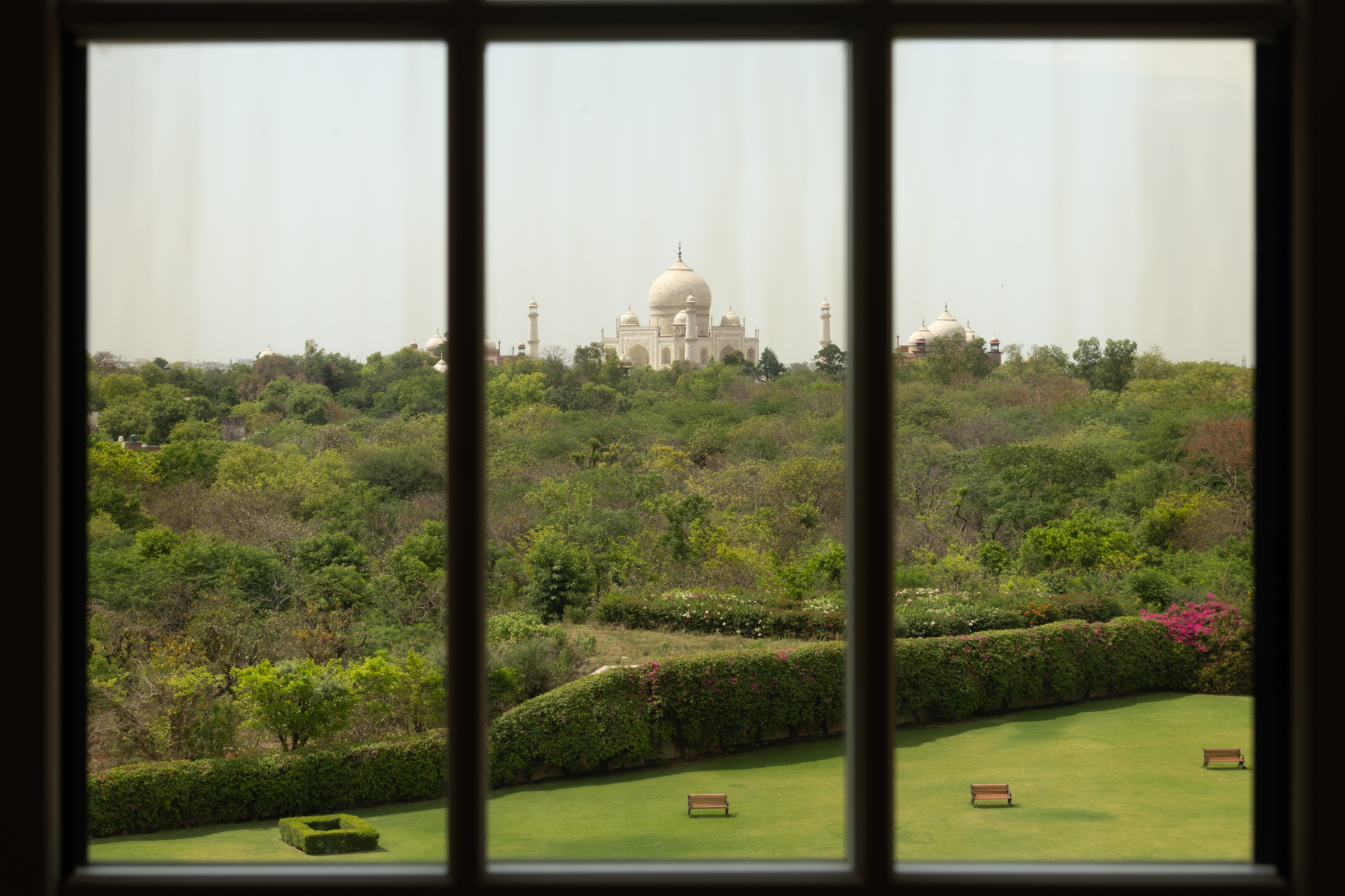 The view out of our window to the Taj Mahal.