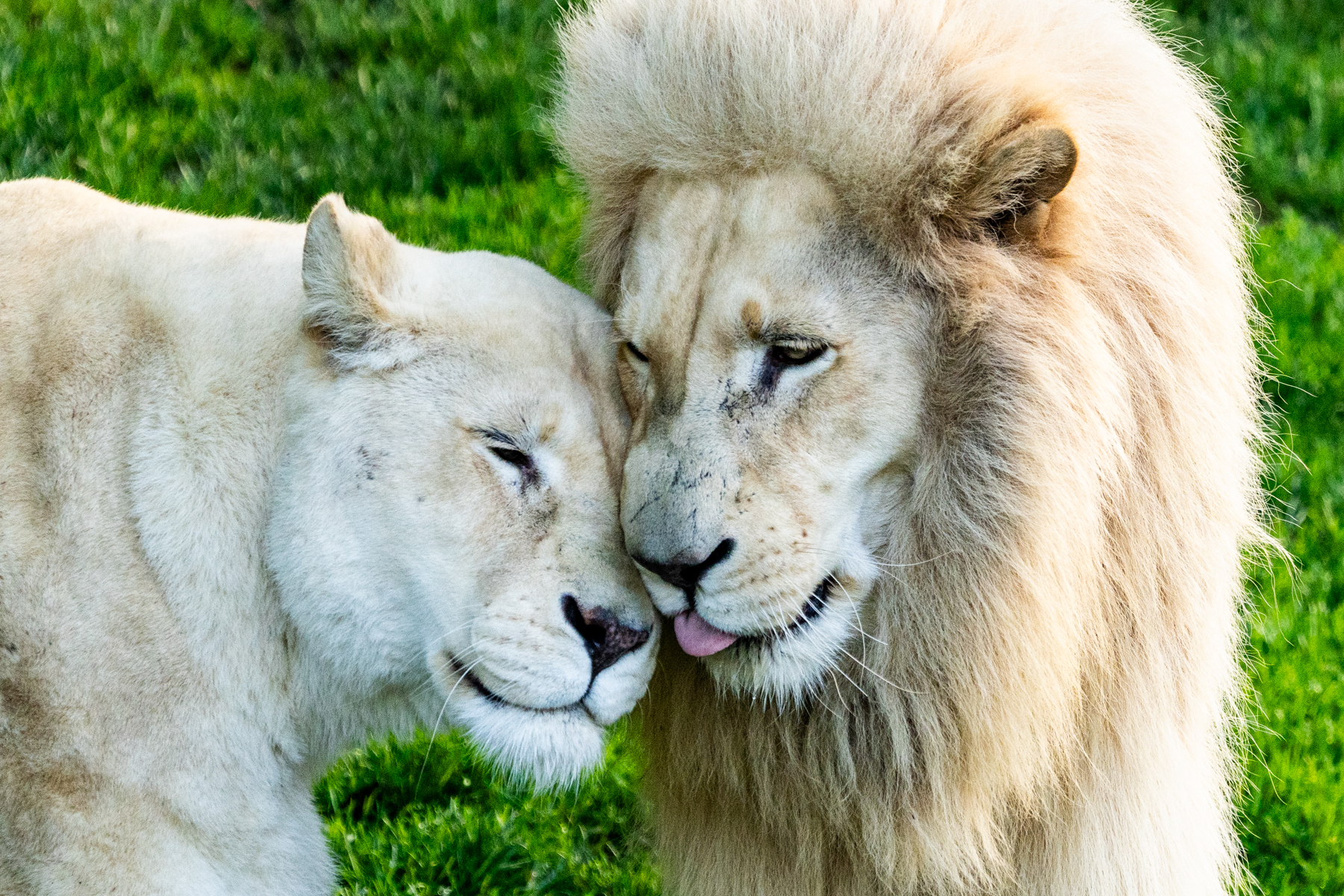 Last day in Canberra