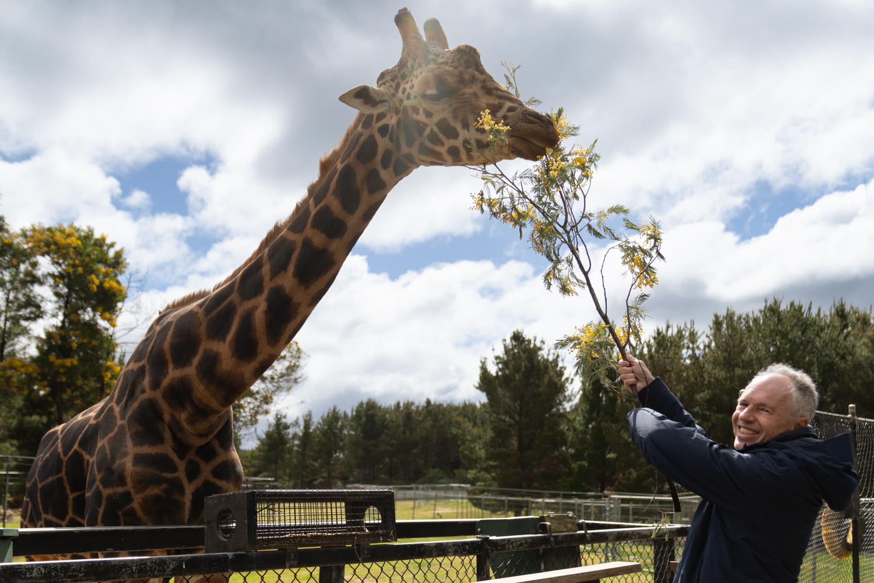 Keith feeding a giraffe.