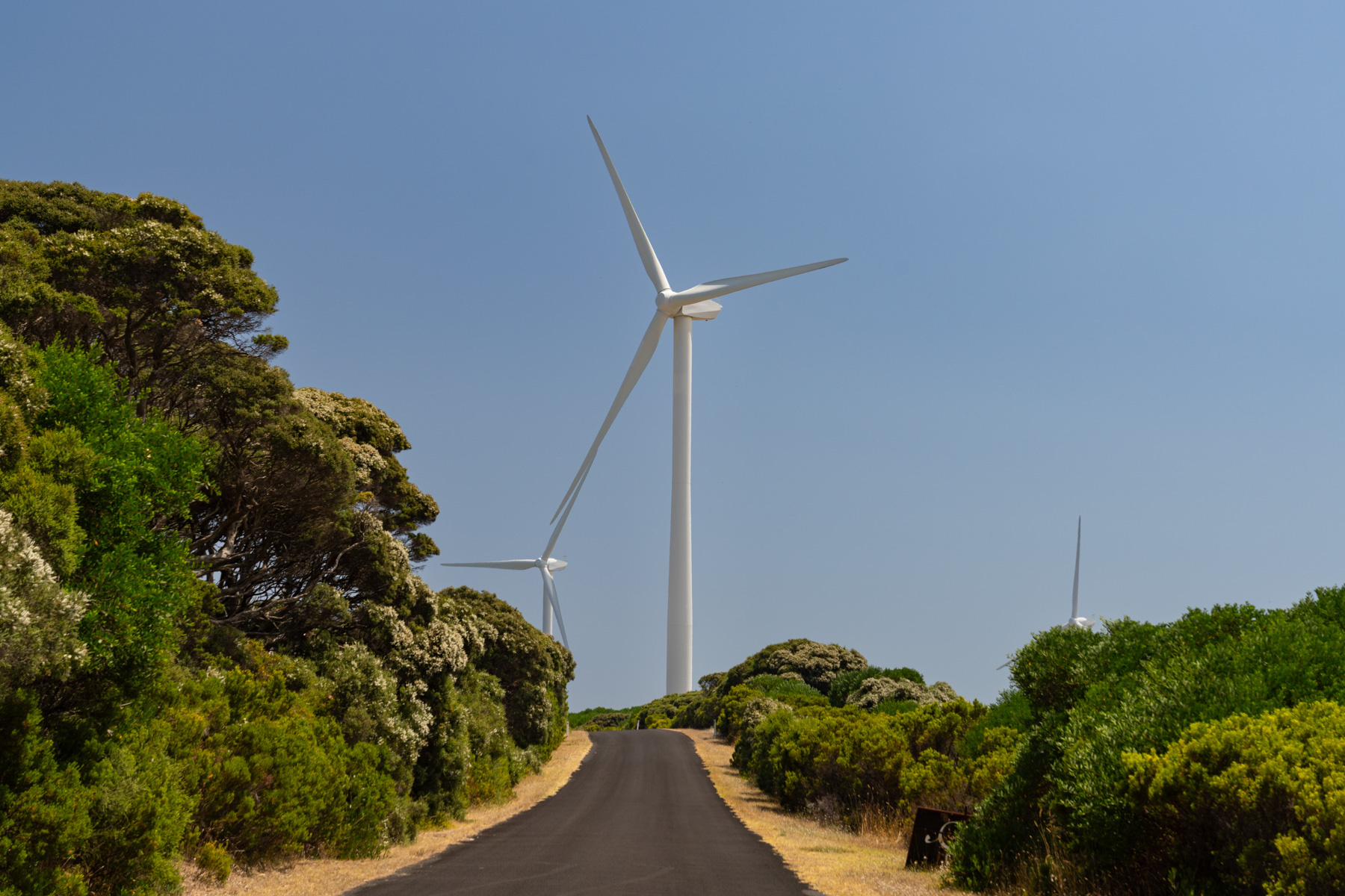 A wind turbine on the coast.