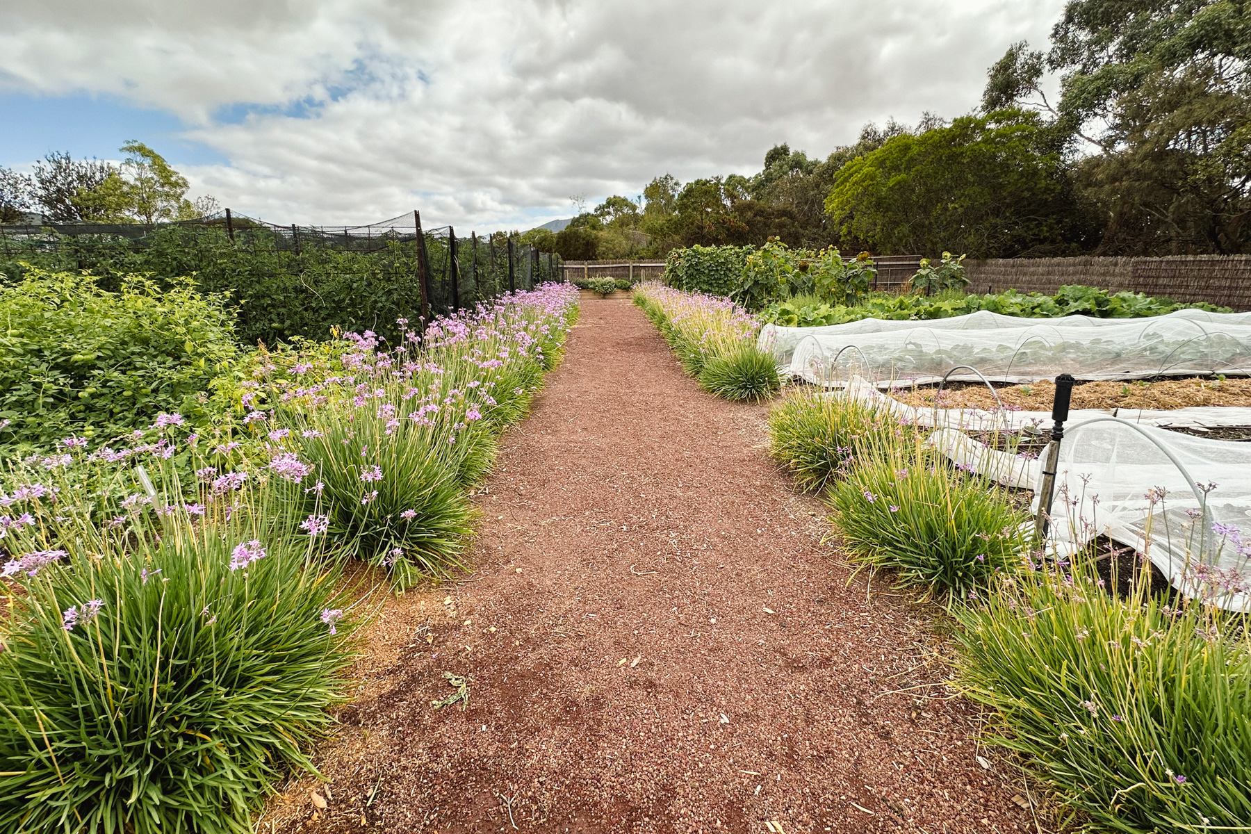 The Royal Mail kitchen garden.