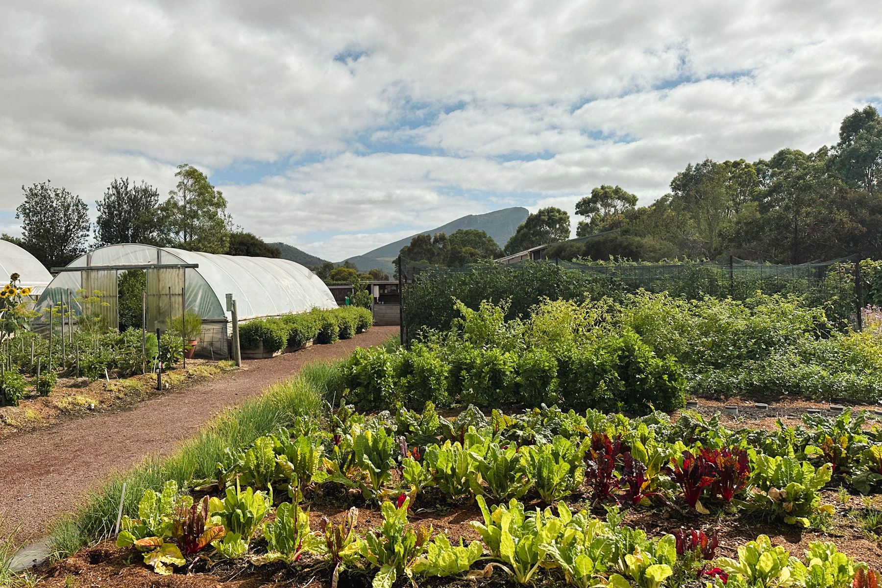 The Royal Mail kitchen garden.