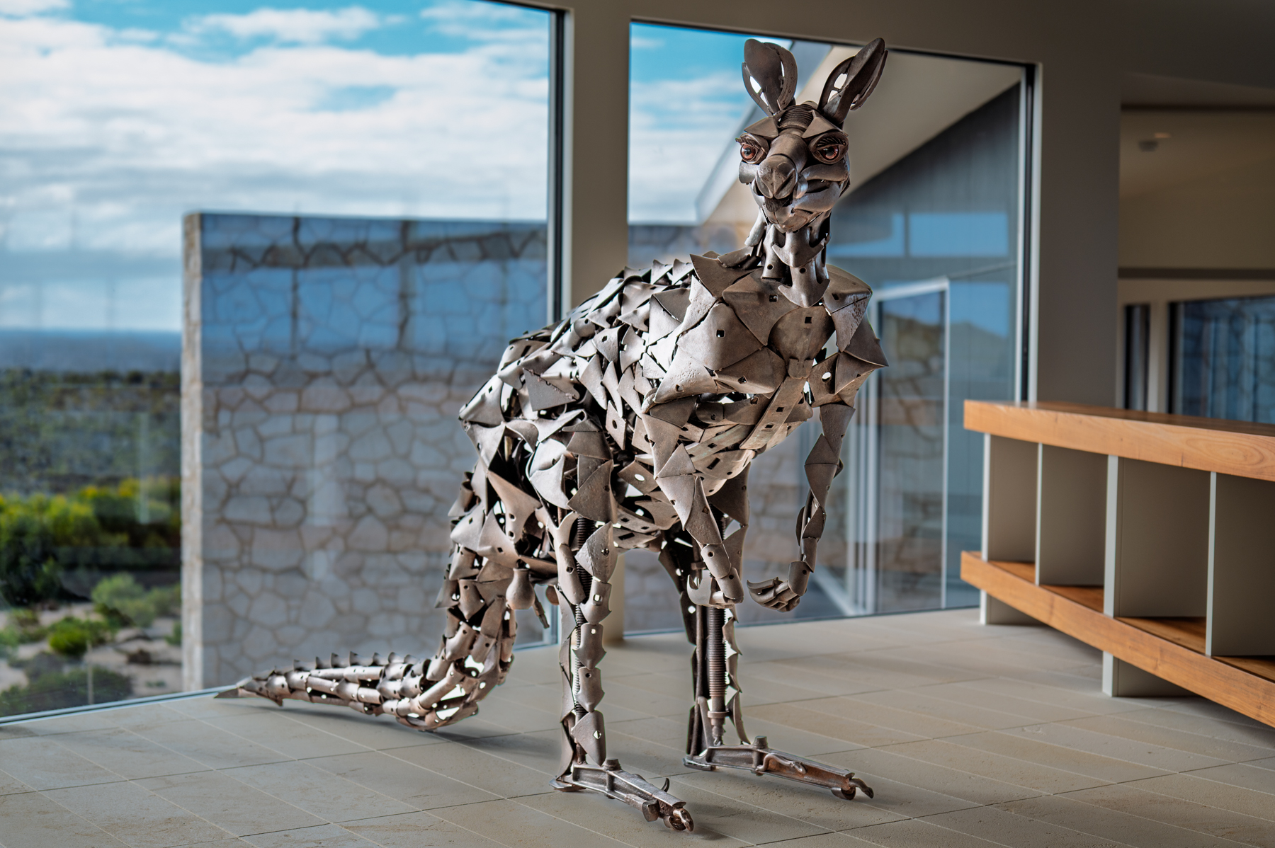 Wildlife on Kangaroo Island