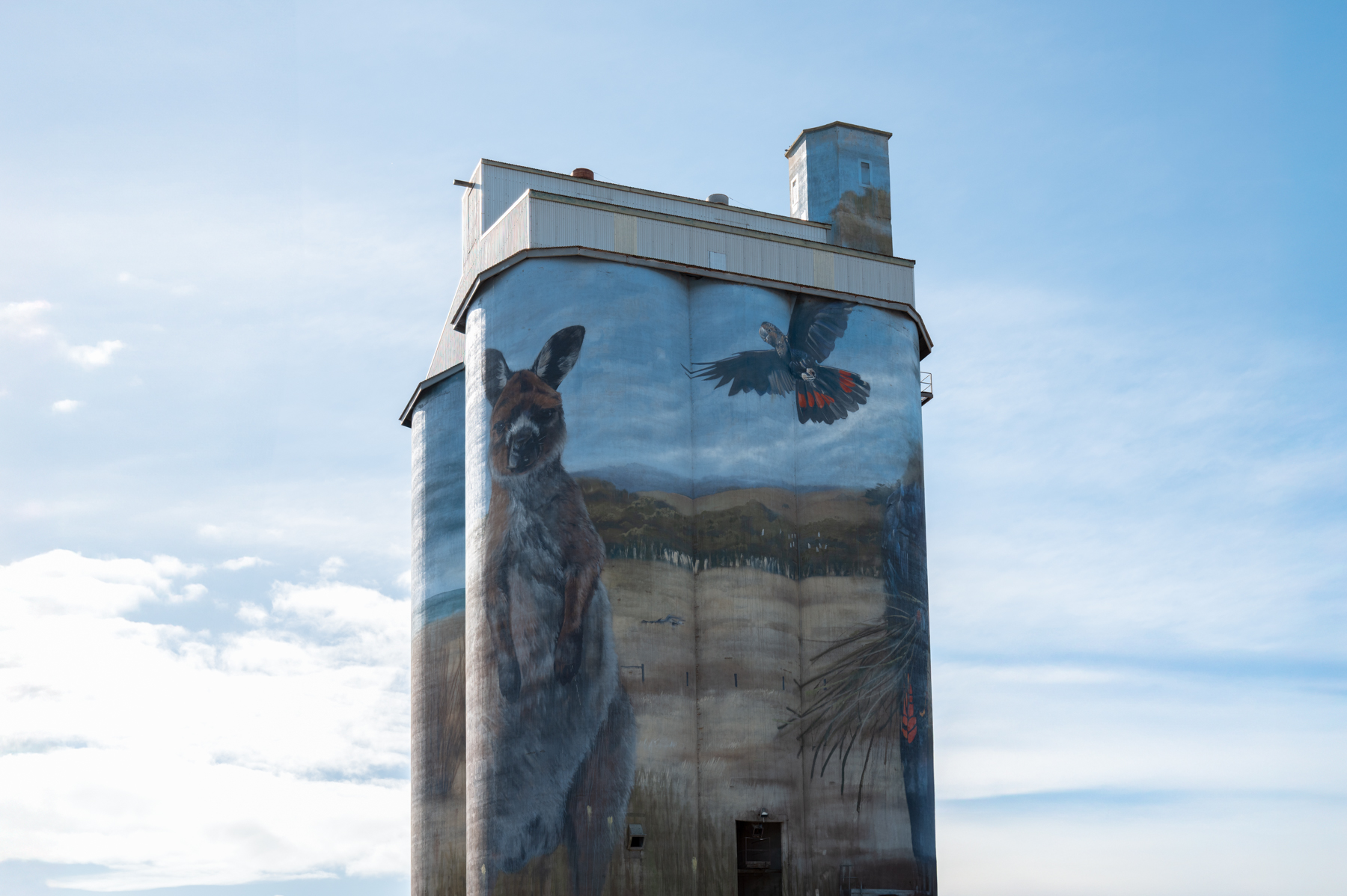 Silo art in Kingscote.