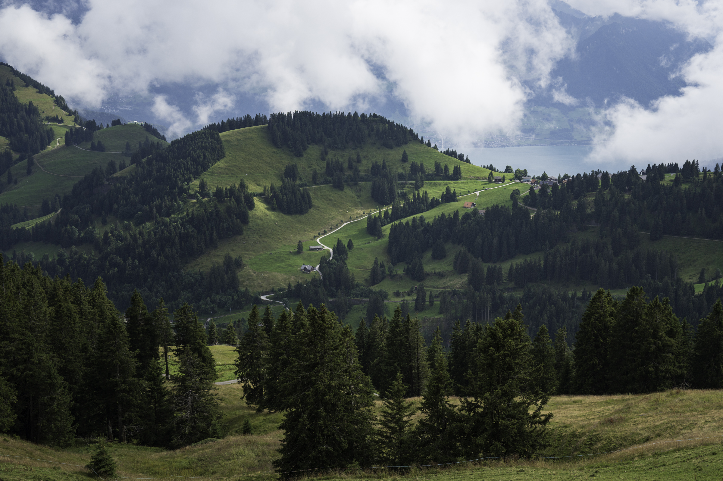 View from Mount Rigi to Lake Louerz.
