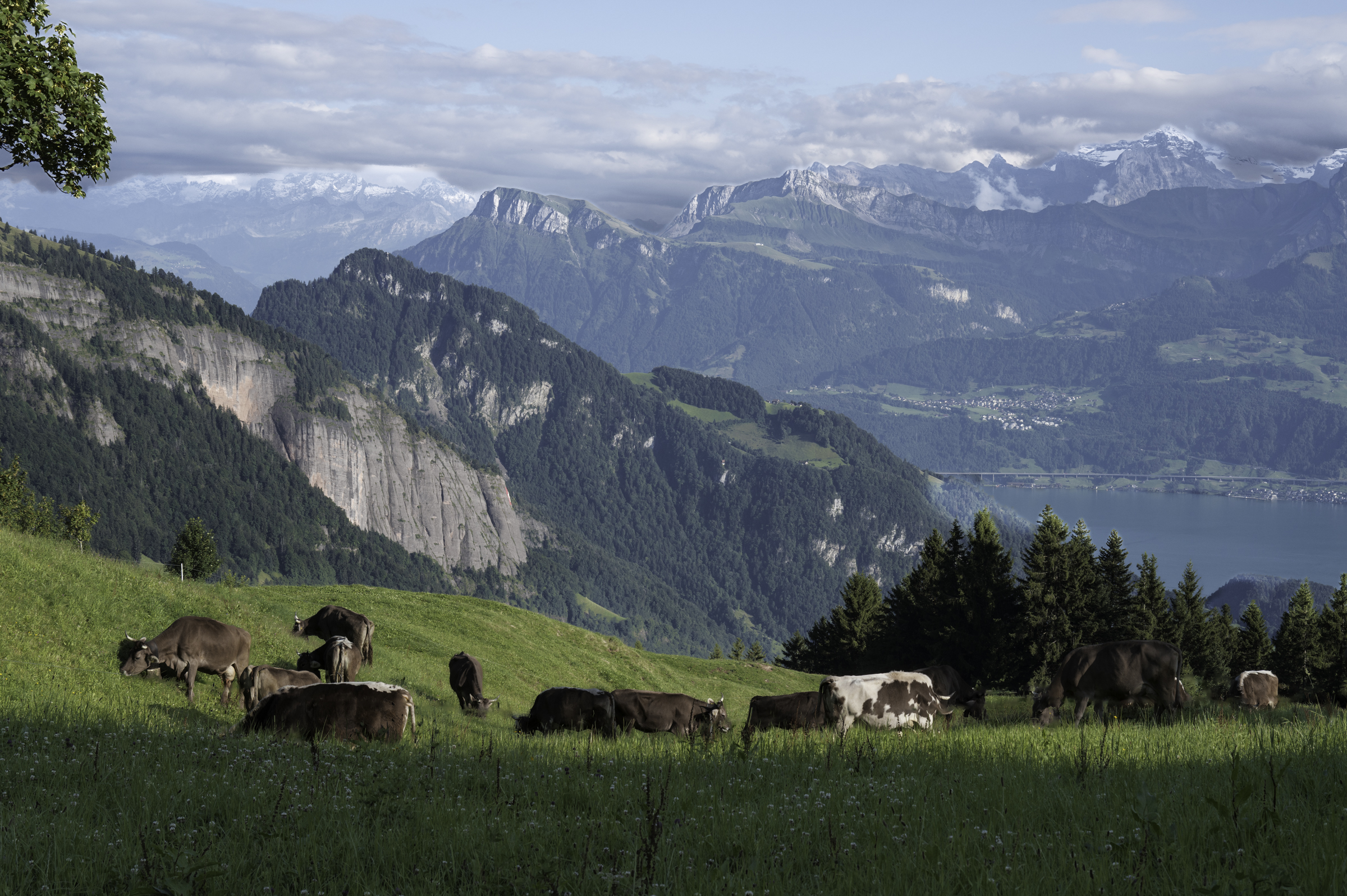 Lucerne and Mount Rigi