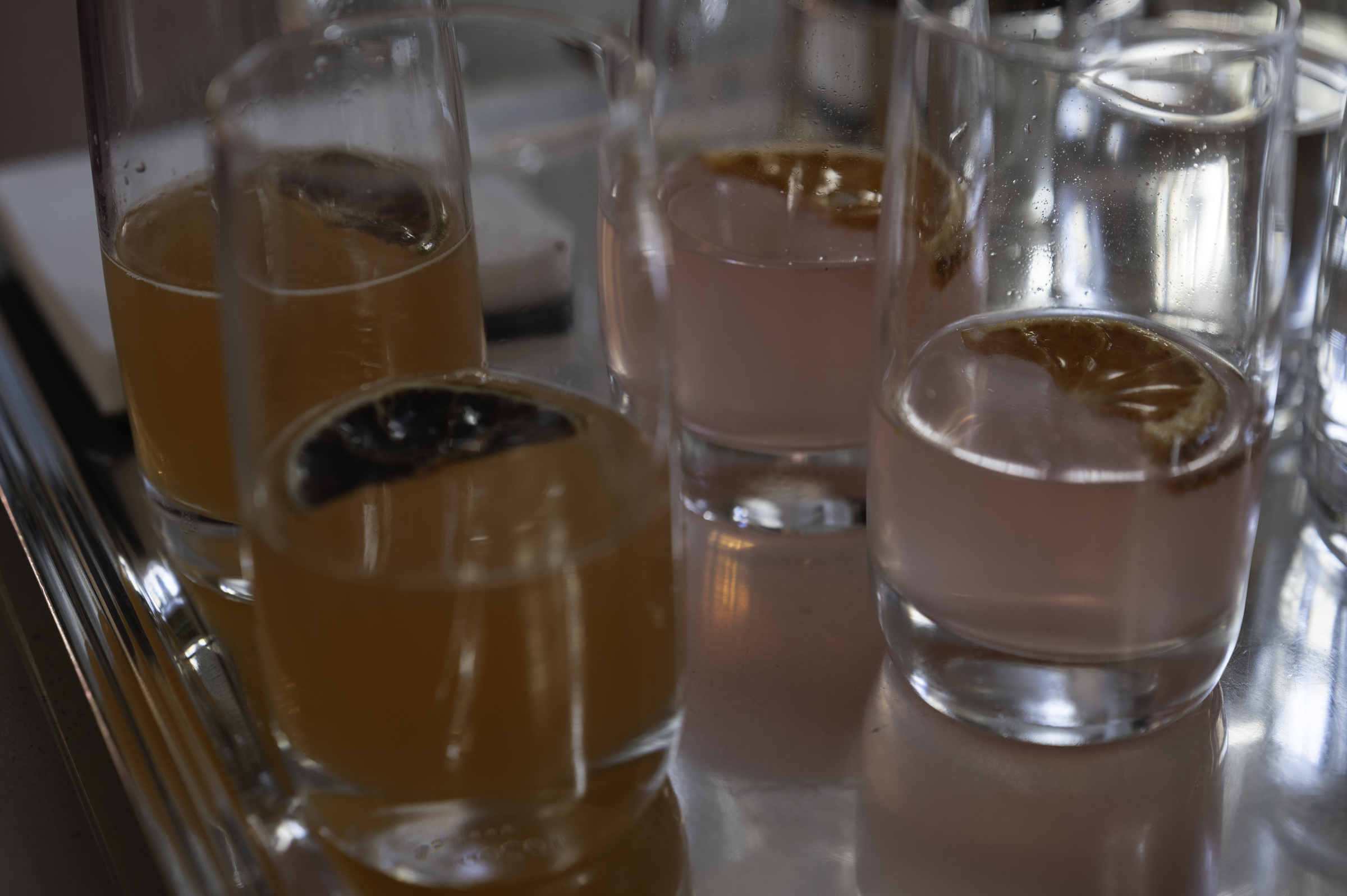 Welcome drinks at the hotel.