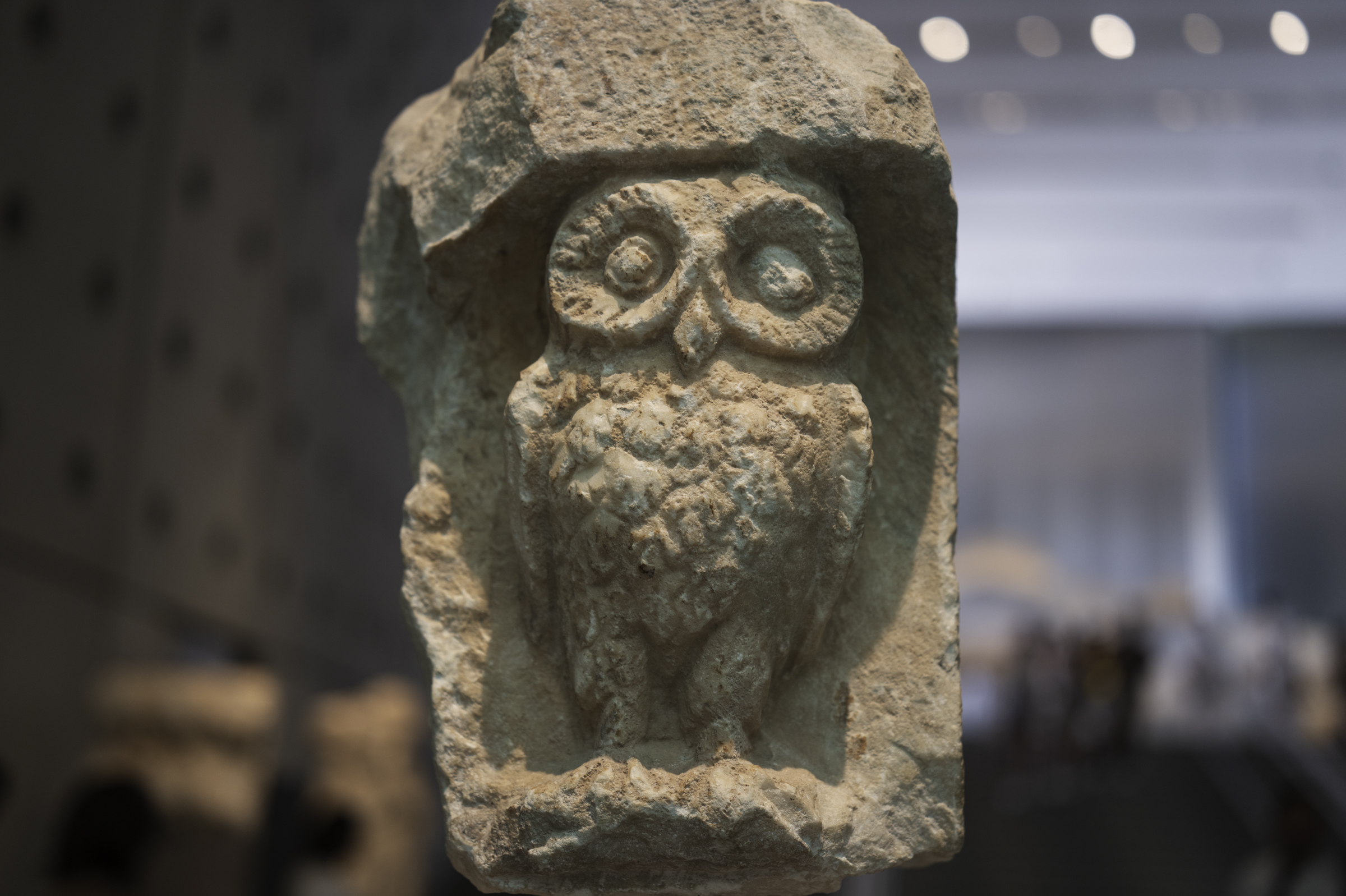 A relief of an owl of the Athena noctua species, originally part of a seat.