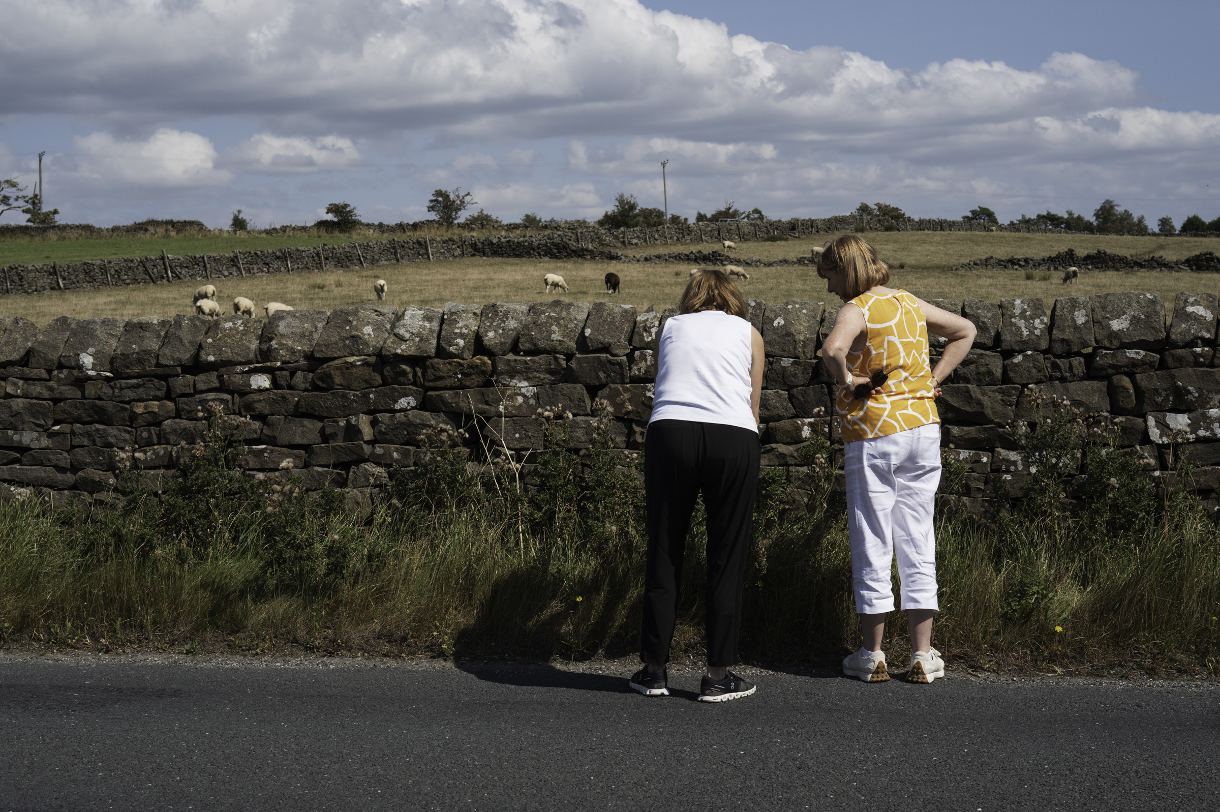 Sue and Andrea, looking at flowers on the side of the road in the Yorkshire Dales National Park.