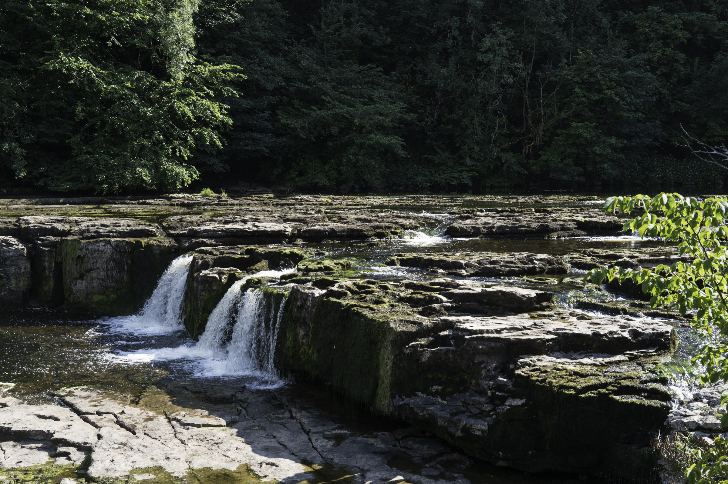 Aysgarth Falls.