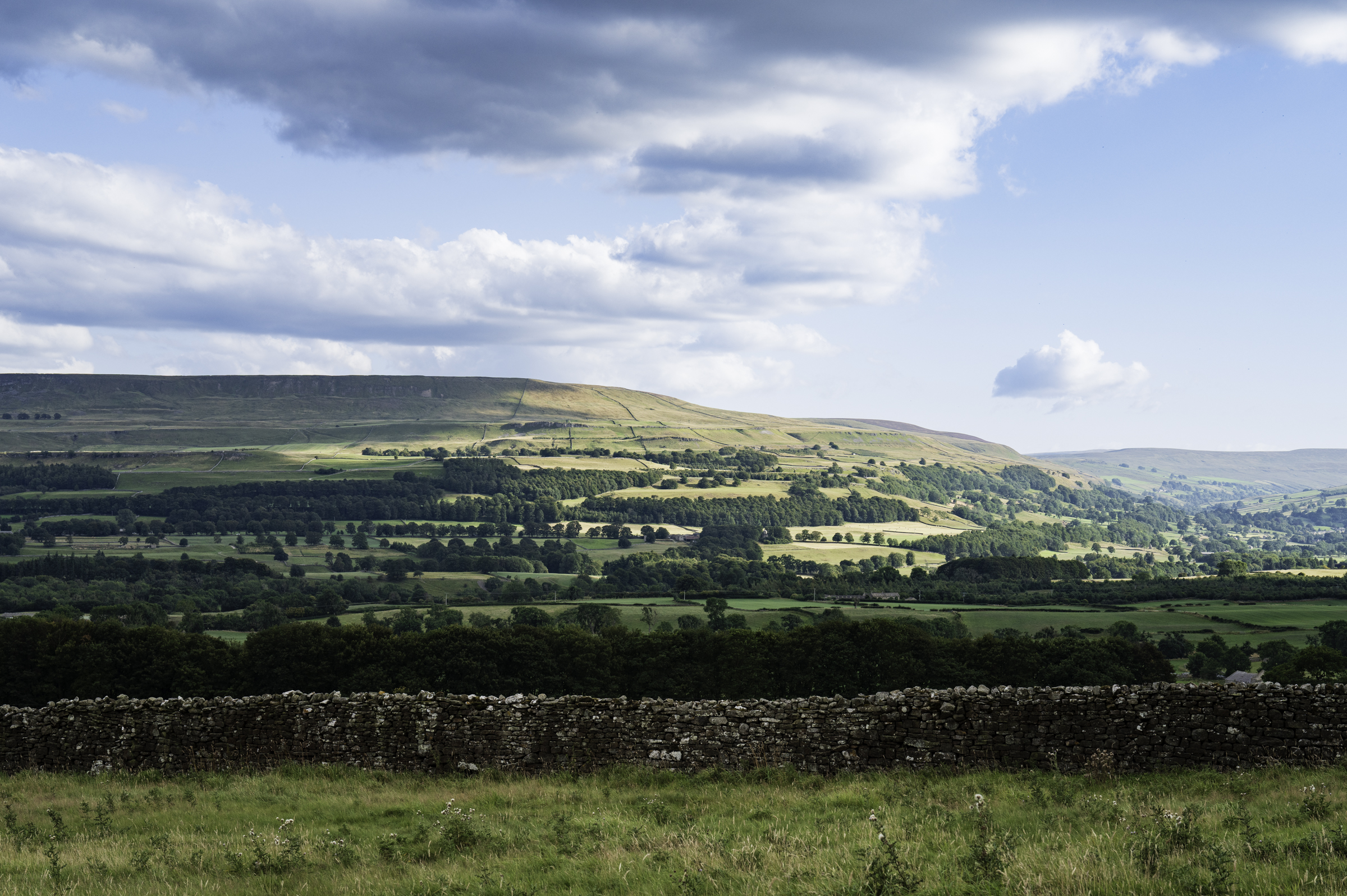 A view from Bolton Castle.