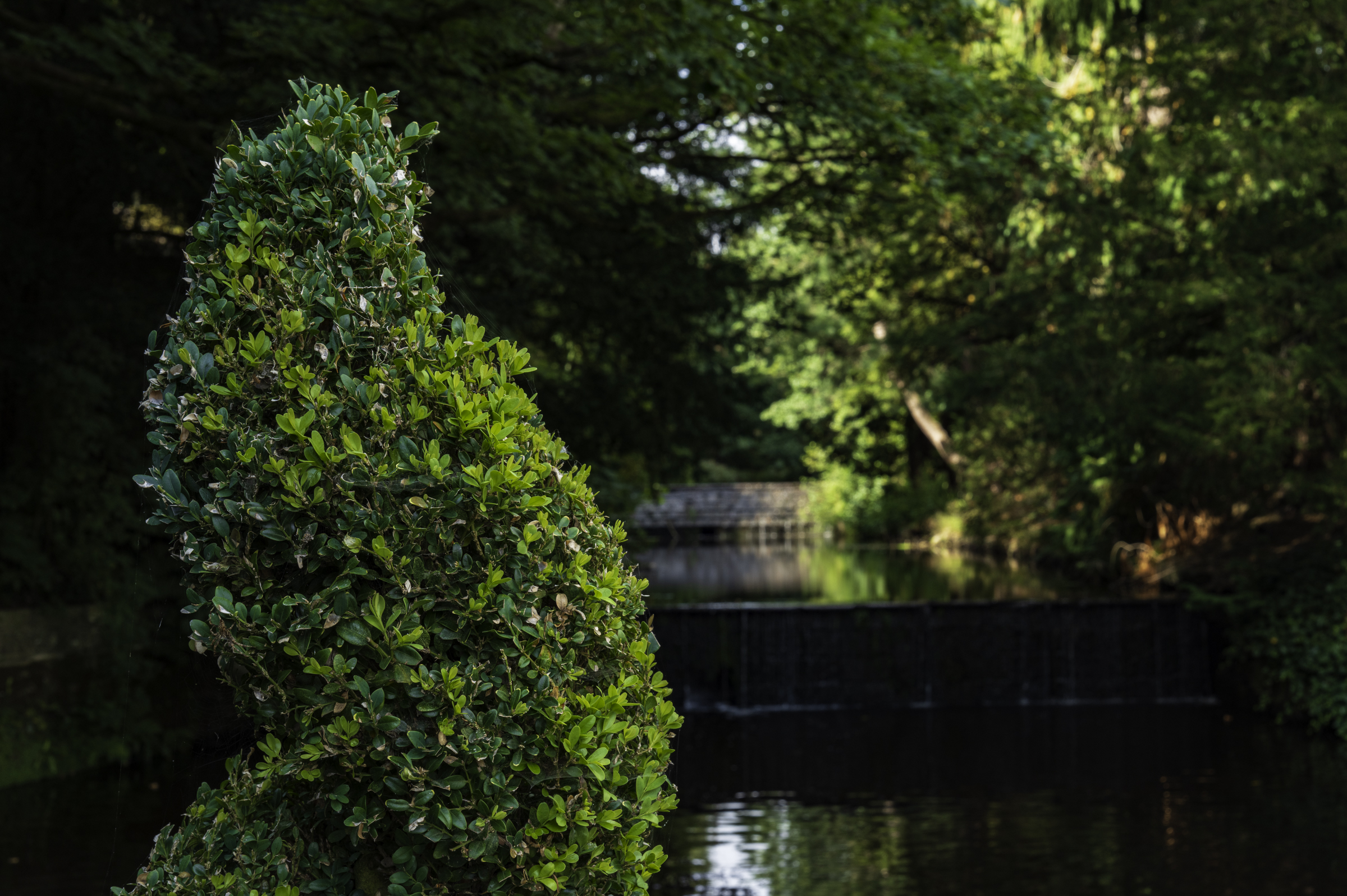 The gardens at Grantley Hall.