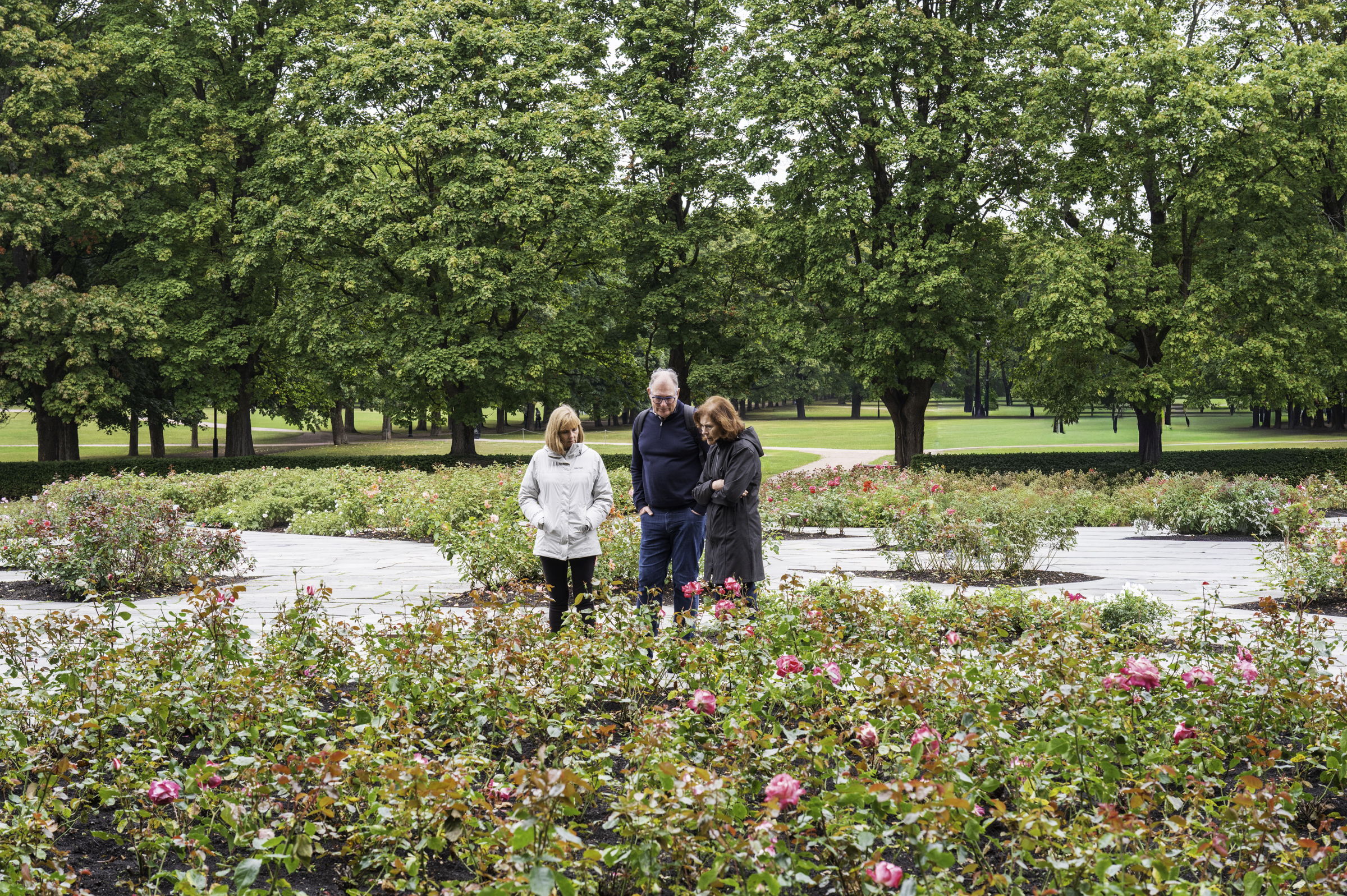 Andrea, with Peter and Joy, looking at roses in Vigeland Park.