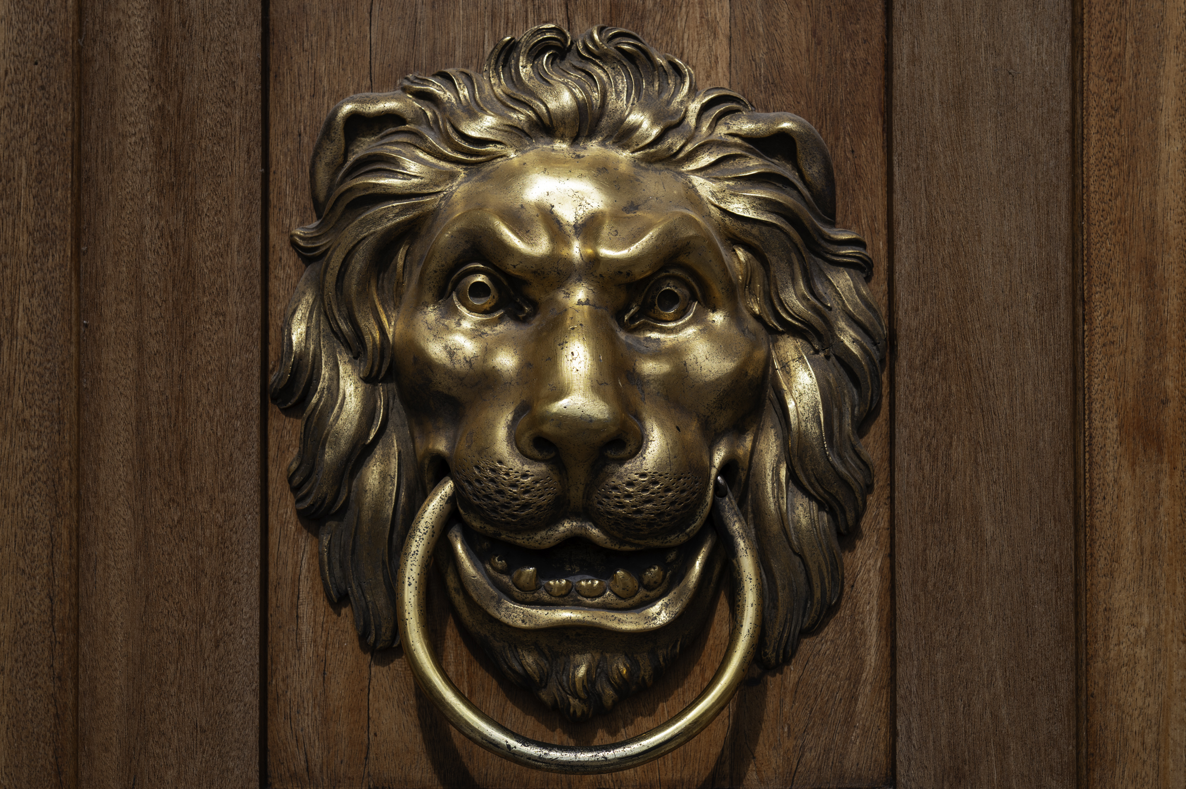 Front-door handle at Pałac na Wyspie (Palace on the Isle).