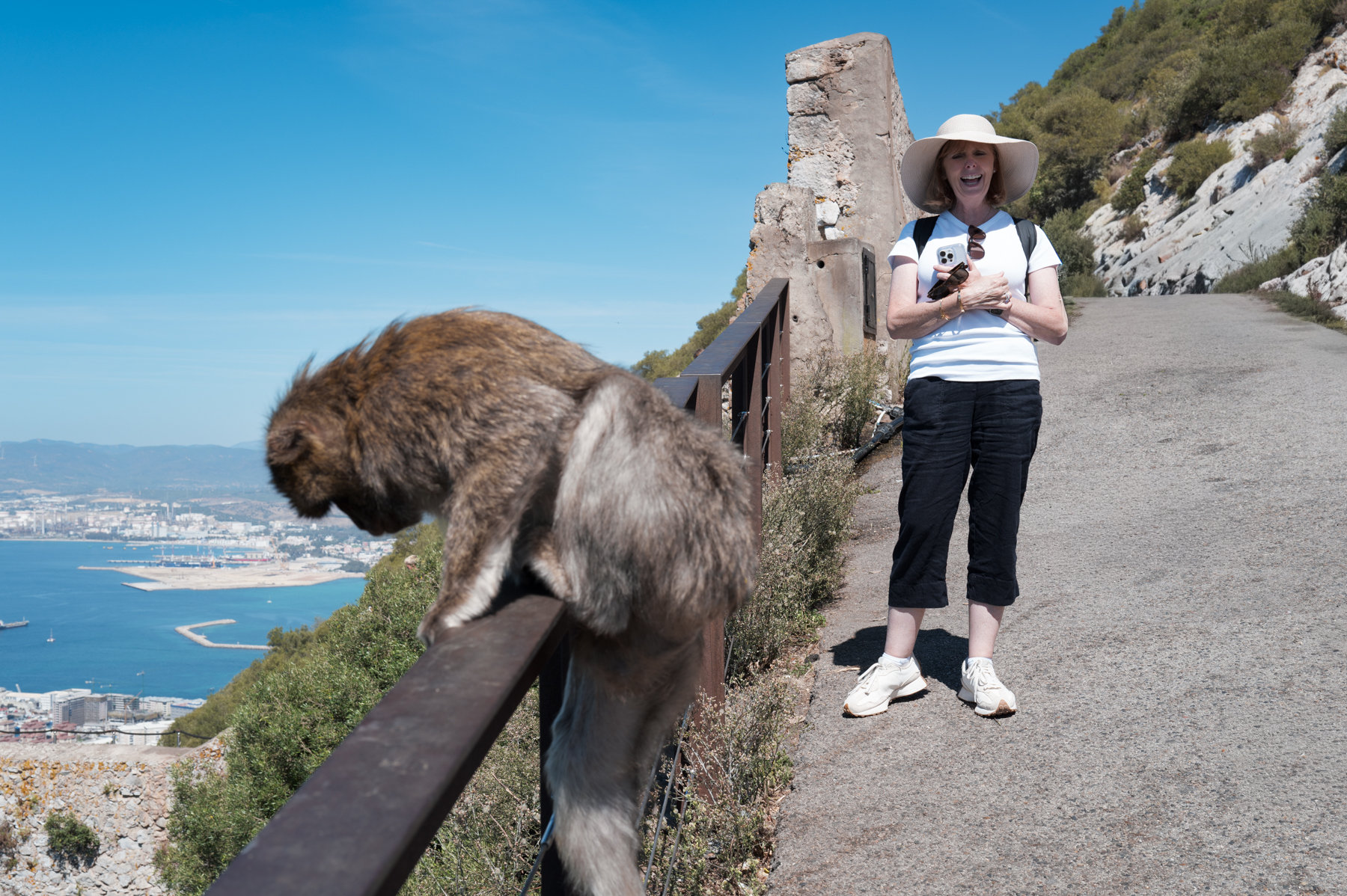 Andrea, watching a mischievous Barbary macaque on the Rock of Gibraltar.