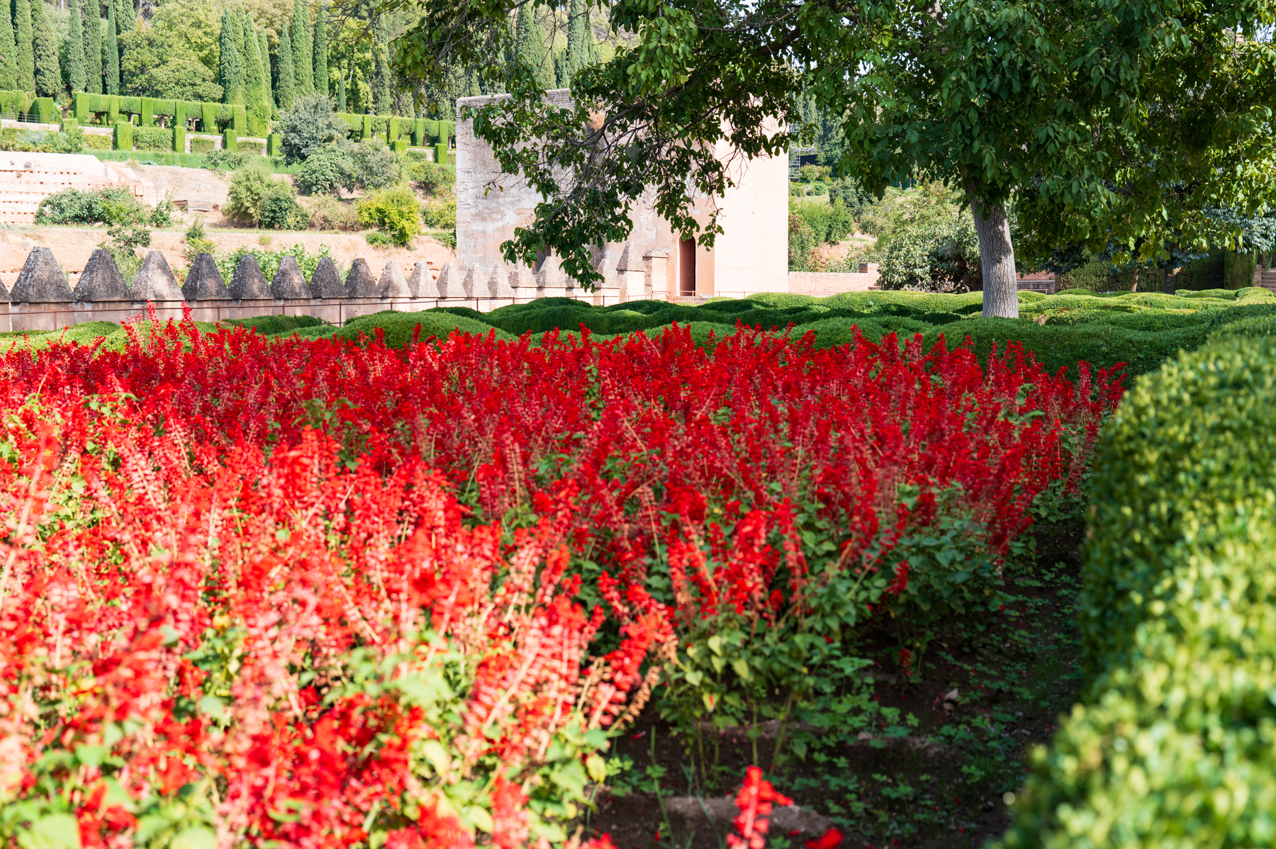 Garden at the Nasrid Palaces in Granada.