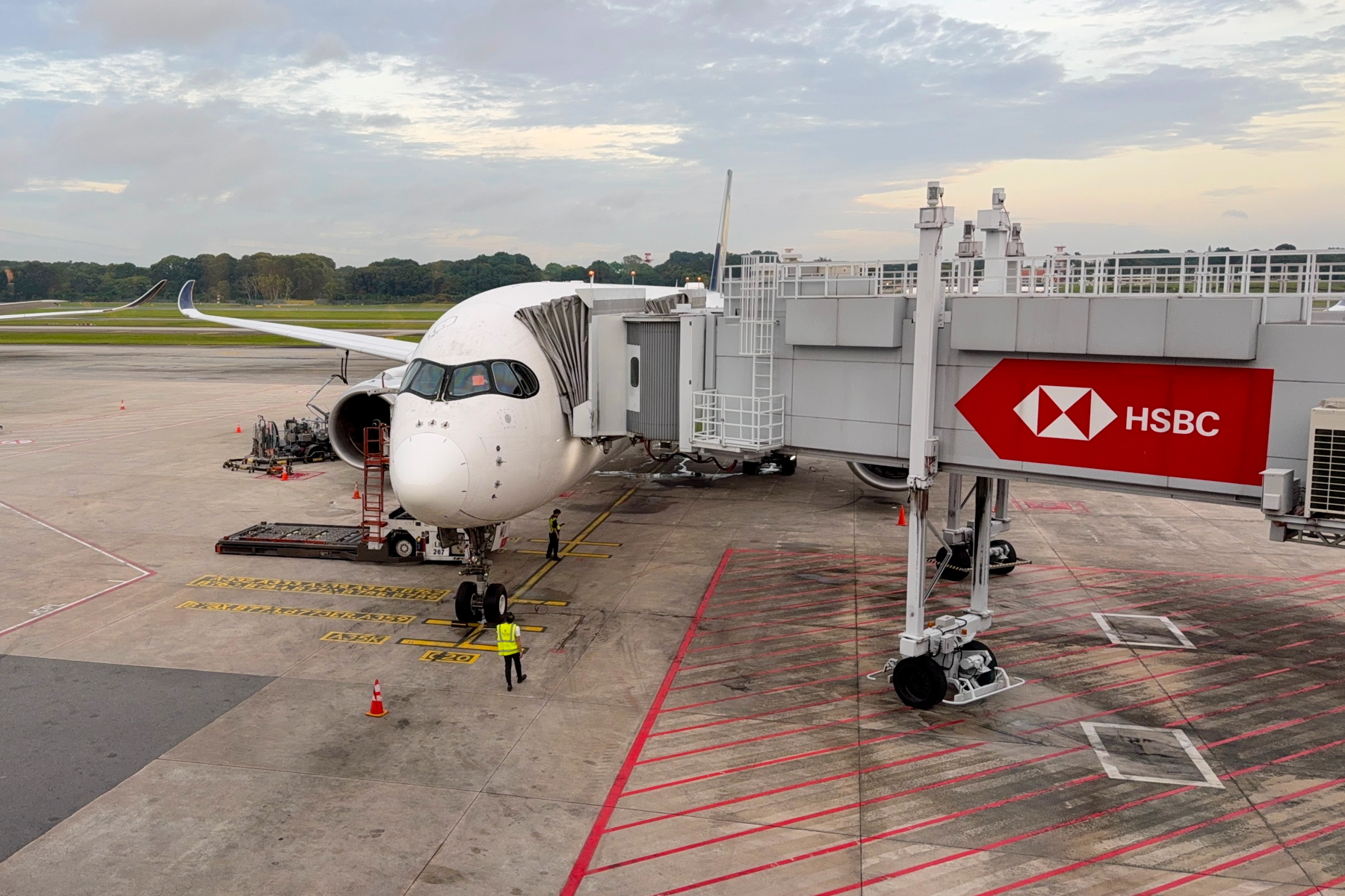 Our plane for the flight from Singapore to Melbourne.