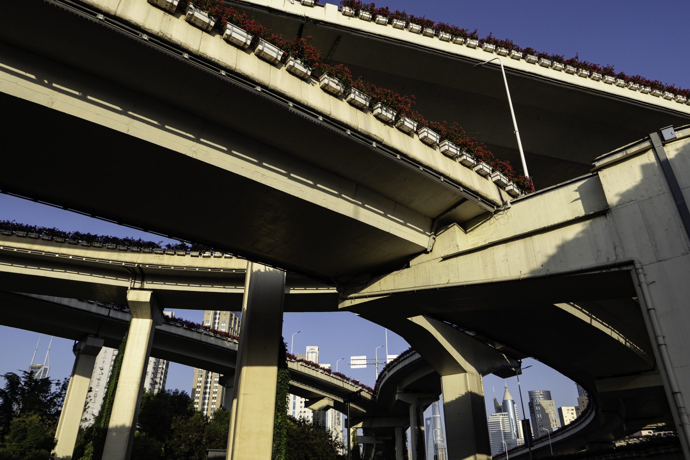 One of the many amazing overpasses in Shanghai.