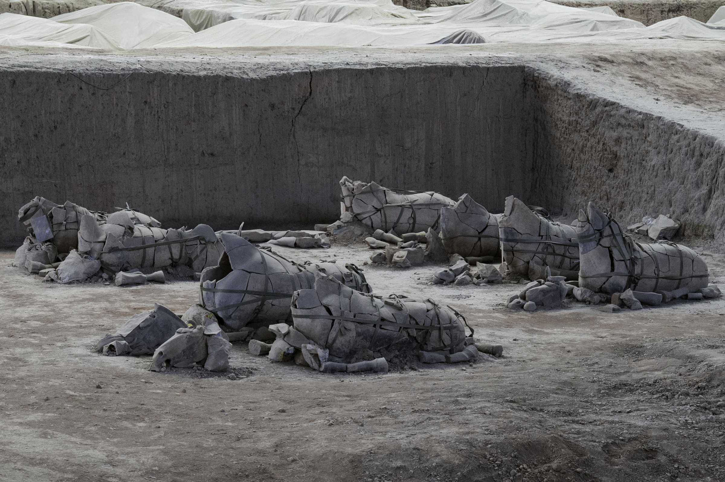 Partly-restored horses from the Terracotta Army in Xi'an.